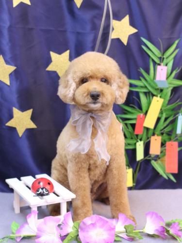 20230715ジョンくん